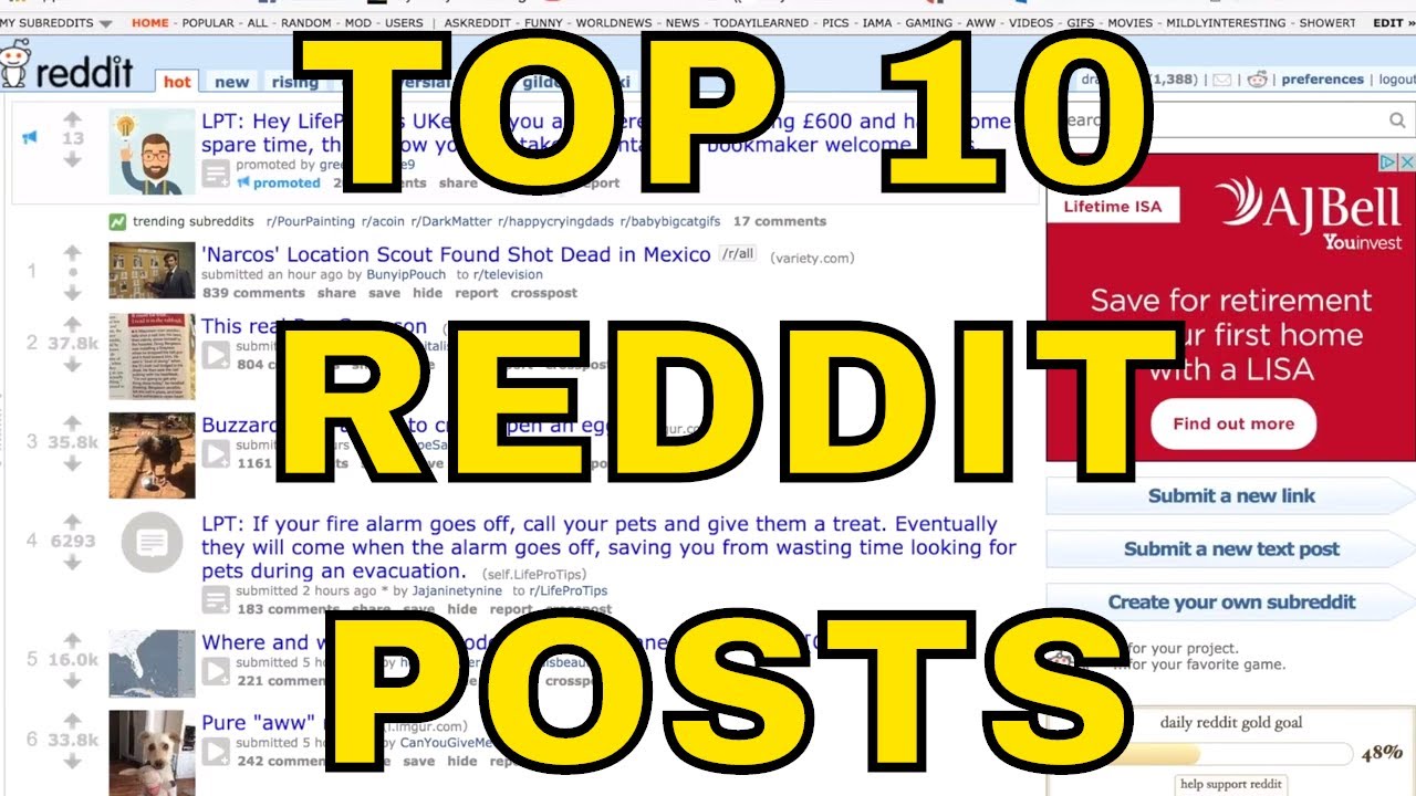 Top 10 Most Upvoted Reddit Posts of All Time – What is Reddit?